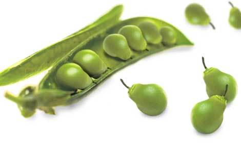 peas to pears GM foods