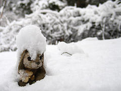 snowed under