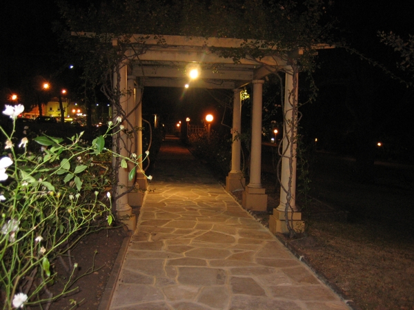 Night Path