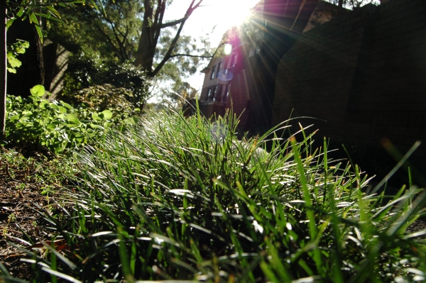 There'd be no life without the light it gives...
