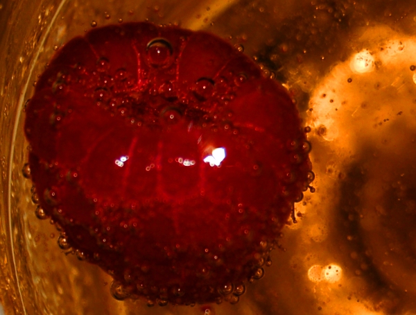 Post image for Raspberry Bubbly