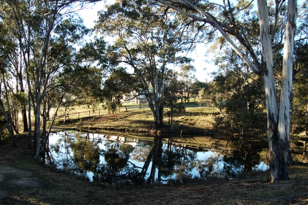 Merroo, Kurrajong