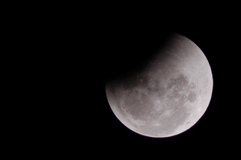 Return of the Moon