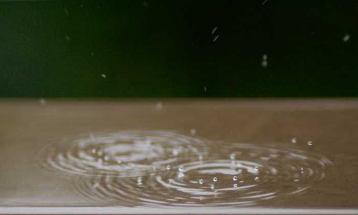 Post image for Recent Rain Splashing