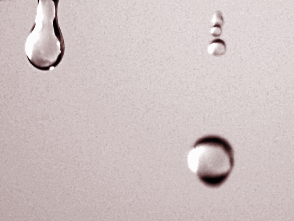 Post image for Rain rain come again…