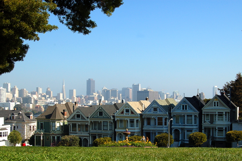 Post image for Painted ladies