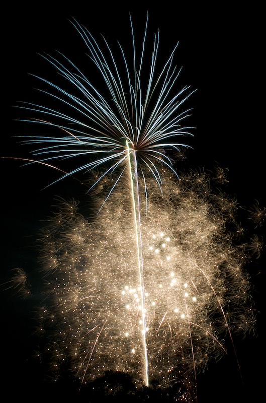 Post image for Those sparkly fireworks