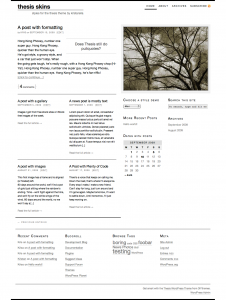 A minimalistic skin for the Thesis theme