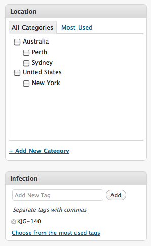 WP3 Custom Taxonomies