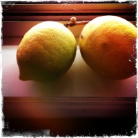 Home grown lemons