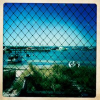 Rottnest Island