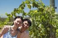 kevinlimin1 In the Hungerford Hill vines