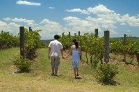 kevinlimin2 Among the vines of Bimbadgen Estate