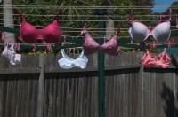 Pink bras