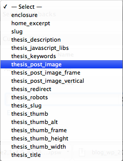Thesis Custom Fields